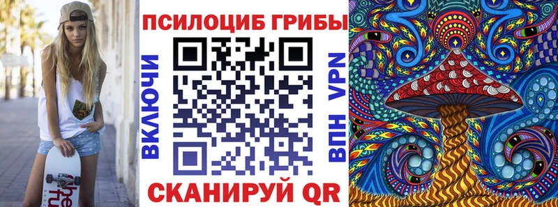 что такое наркотик  Чухлома  omg зеркало  Псилоцибиновые грибы мицелий 